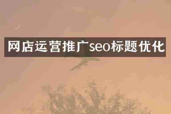 网店运营推广seo标题优化
