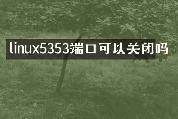 linux5353端口可以关闭吗