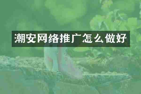 潮安网络推广怎么做好
