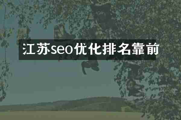 江苏seo优化排名靠前