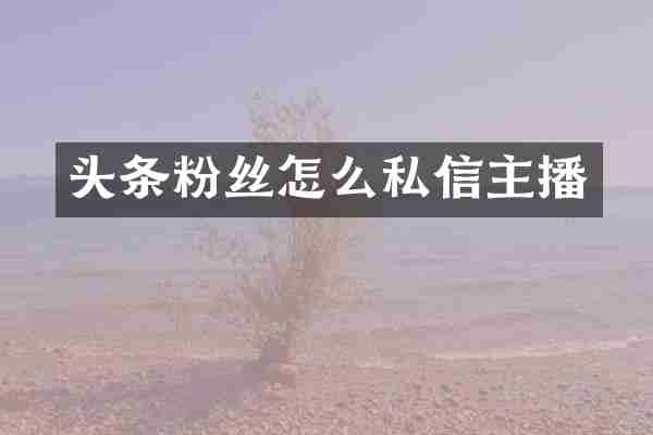 头条粉丝怎么私信主播