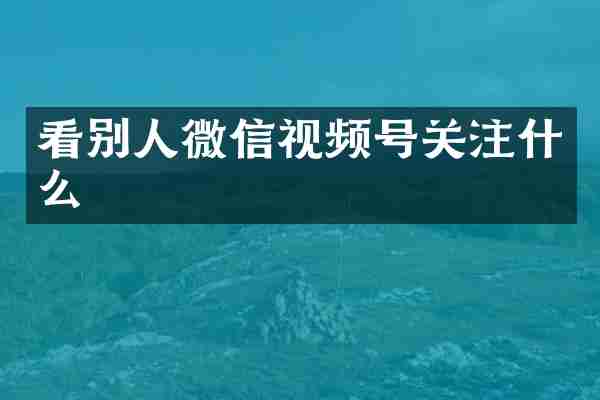 看别人微信视频号关注什么