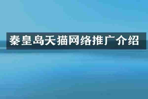 秦皇岛天猫网络推广介绍