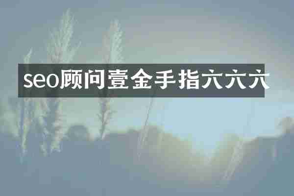 seo顾问壹金手指六六六