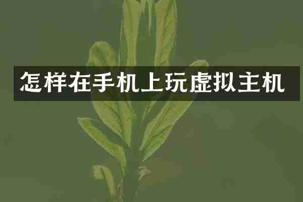 怎样在手机上玩虚拟主机