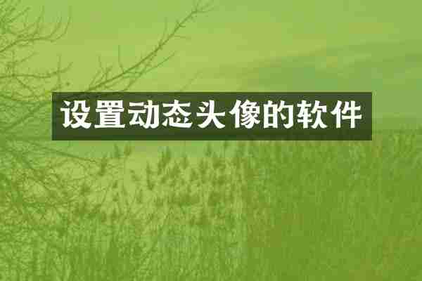 设置动态头像的软件
