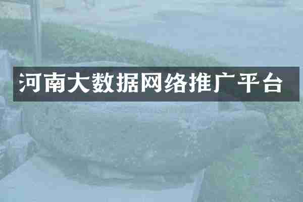 河南大数据网络推广平台