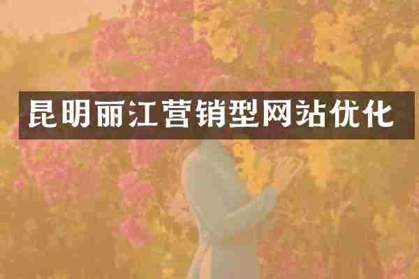 昆明丽江营销型网站优化