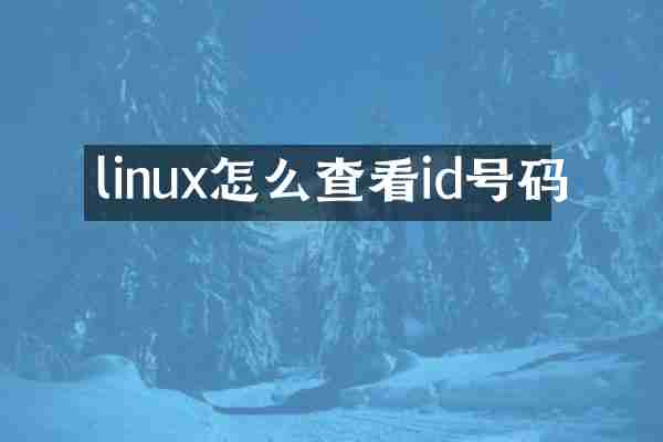 linux怎么查看id号码