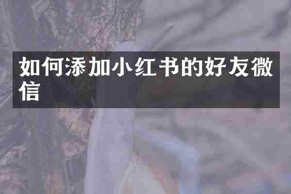 如何添加小红书的好友微信