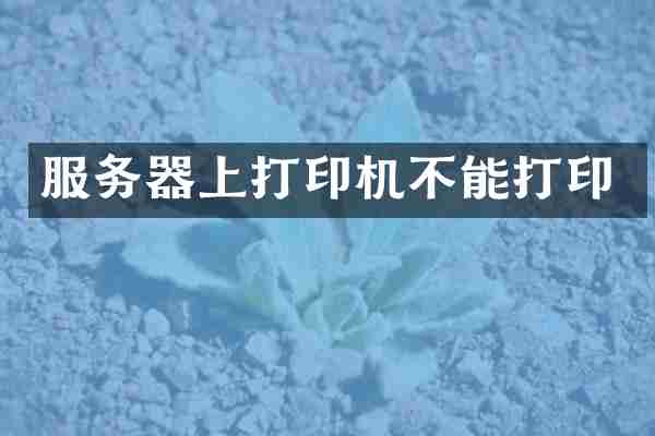 服务器上打印机不能打印