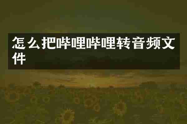 怎么把哔哩哔哩转音频文件