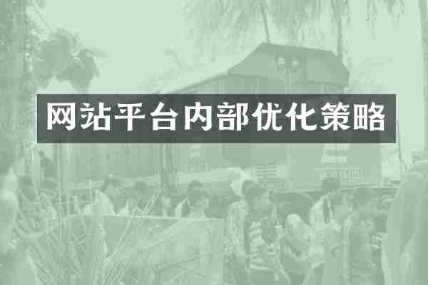 网站平台内部优化策略