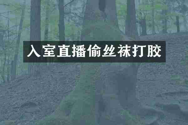 入室直播偷丝袜打胶