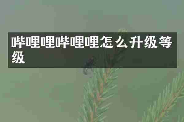 哔哩哩哔哩哩怎么升级等级