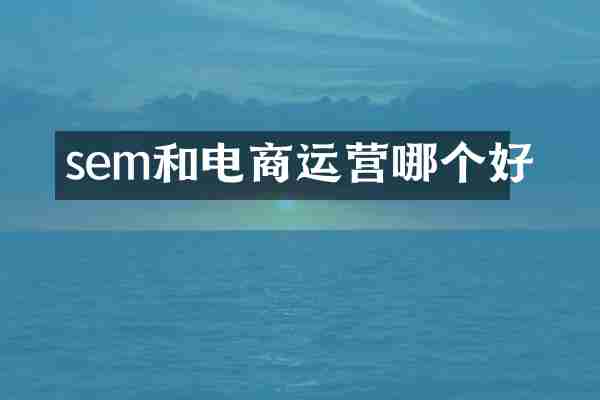 sem和电商运营哪个好