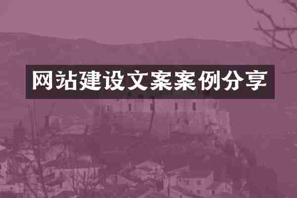 网站建设文案案例分享