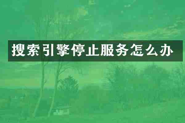 搜索引擎停止服务怎么办