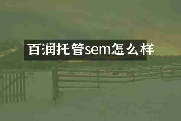 百润托管sem怎么样