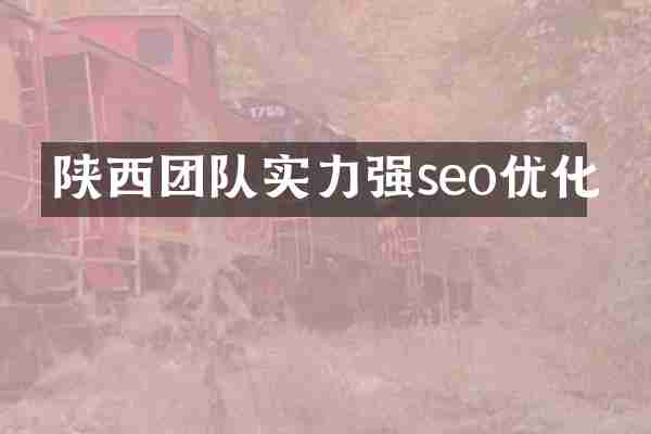 陕西团队实力强seo优化