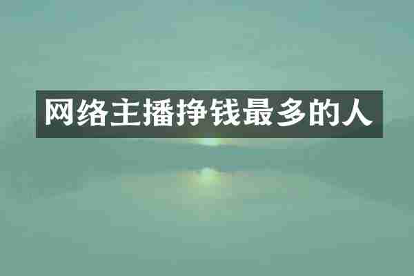 网络主播挣钱最多的人