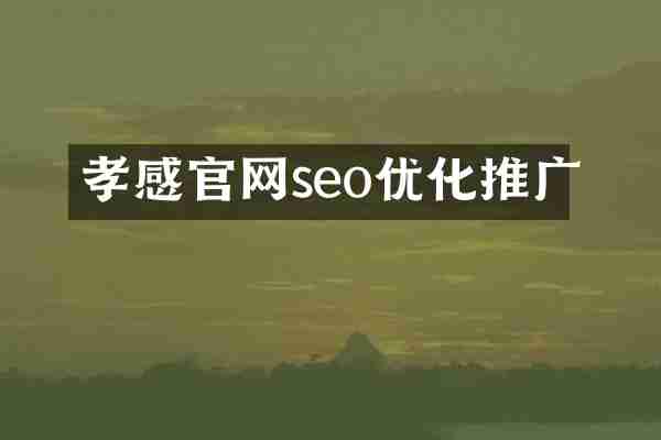 孝感官网seo优化推广