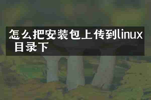 怎么把安装包上传到linux根目录下