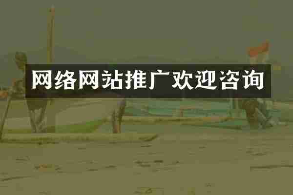 网络网站推广欢迎咨询
