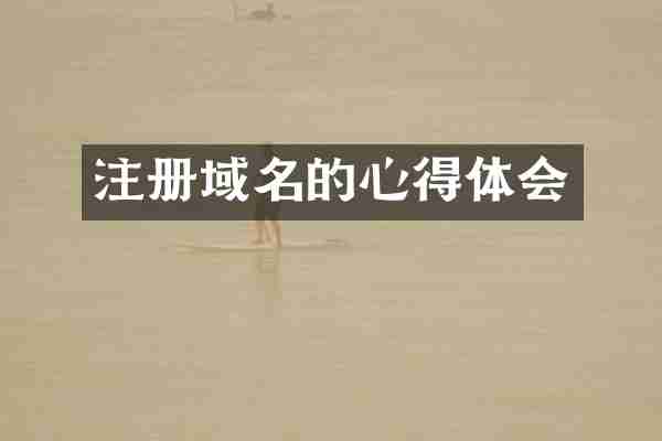 注册域名的心得体会