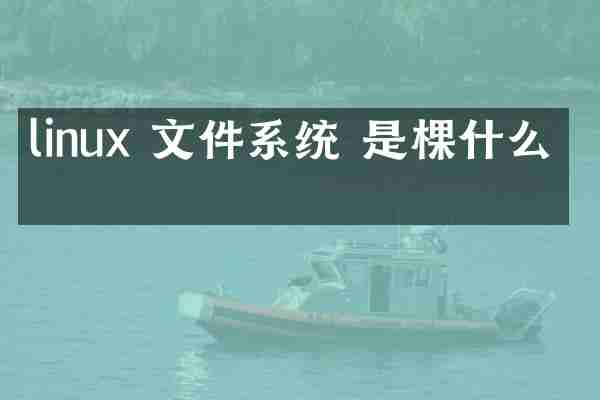 linux 文件系统 是棵什么树