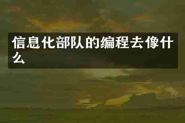 信息化部队的编程去像什么