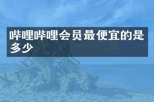 哔哩哔哩会员最便宜的是多少