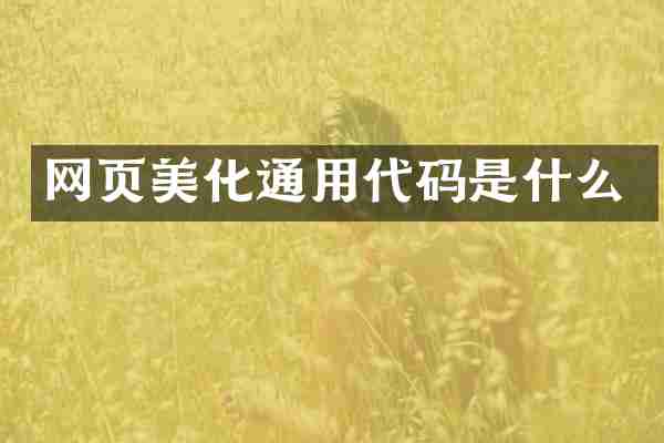 网页美化通用代码是什么