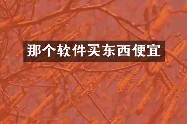 那个软件买东西便宜