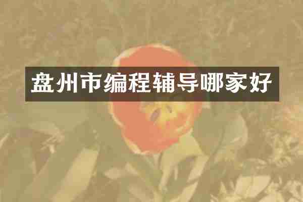 盘州市编程辅导哪家好