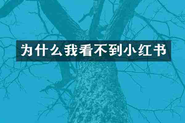 为什么我看不到小红书