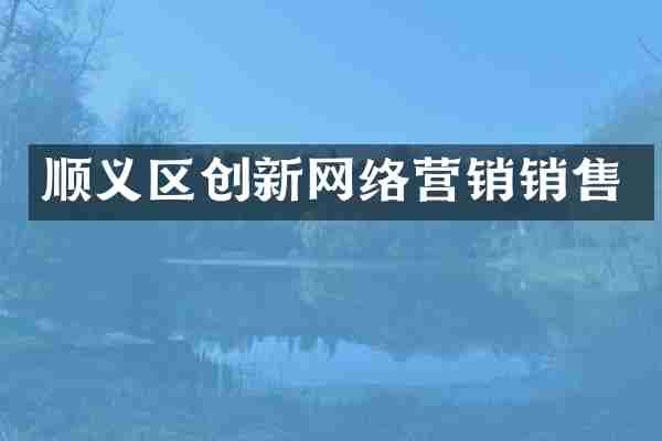 顺义区创新网络营销销售