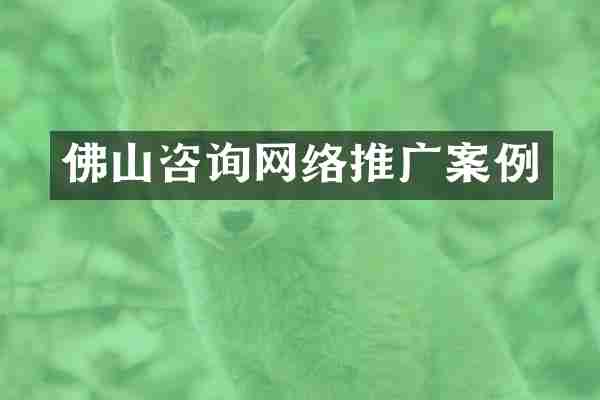 佛山咨询网络推广案例