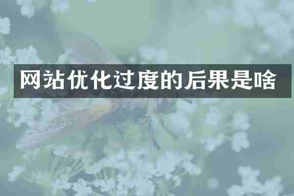 网站优化过度的后果是啥