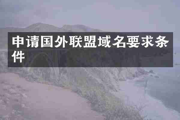 申请国外联盟域名要求条件