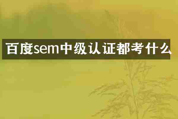 百度sem中级认证都考什么
