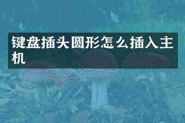 键盘插头圆形怎么插入主机