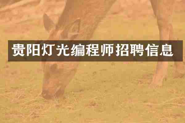 贵阳灯光编程师招聘信息