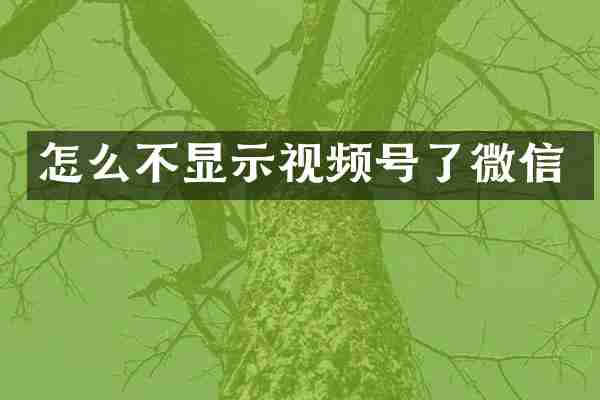 怎么不显示视频号了微信