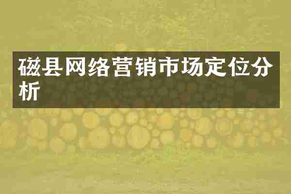 磁县网络营销市场定位分析