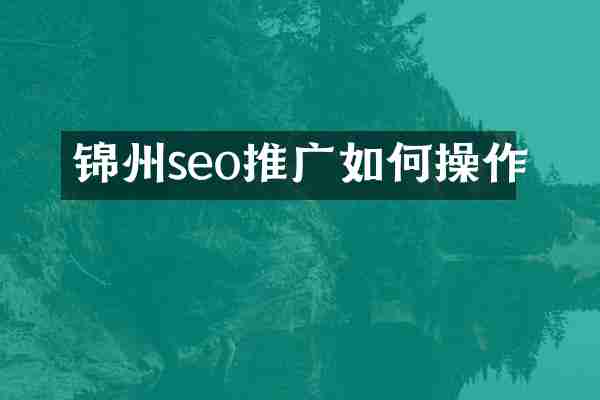 锦州seo推广如何操作