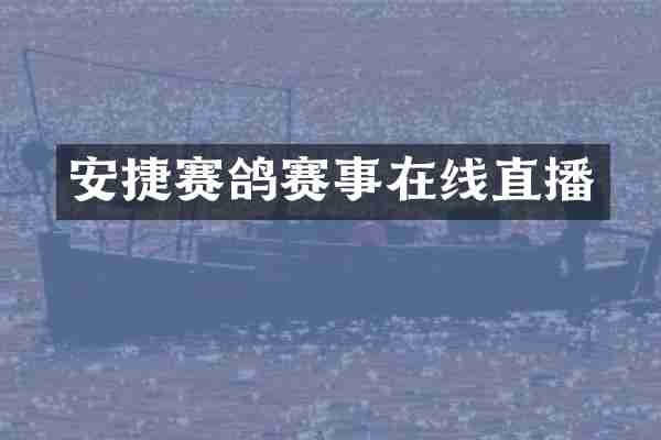 安捷赛鸽赛事在线直播