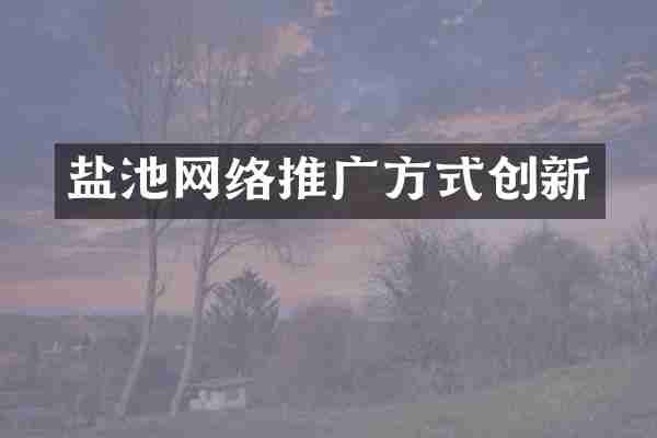 盐池网络推广方式创新
