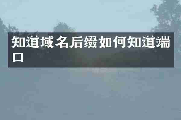 知道域名后缀如何知道端口