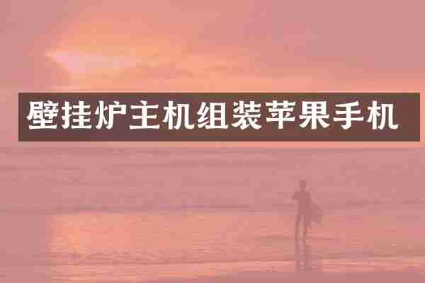 壁挂炉主机组装苹果手机